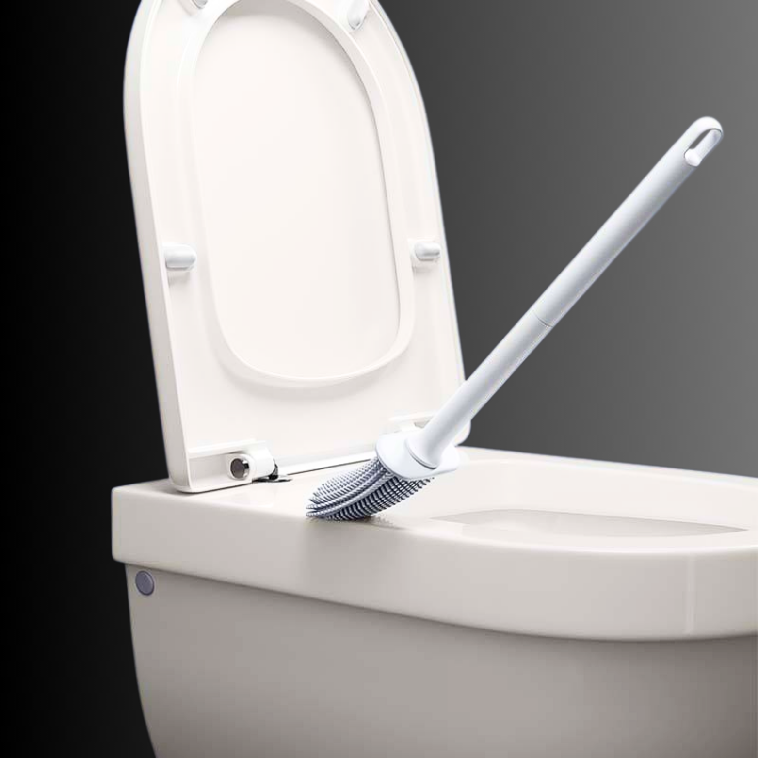 ROHA TOILETBORSTEL